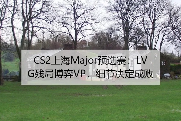 CS2上海Major预选赛：LVG残局博弈VP，细节决定成败
