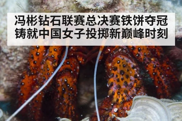 冯彬钻石联赛总决赛铁饼夺冠铸就中国女子投掷新巅峰时刻